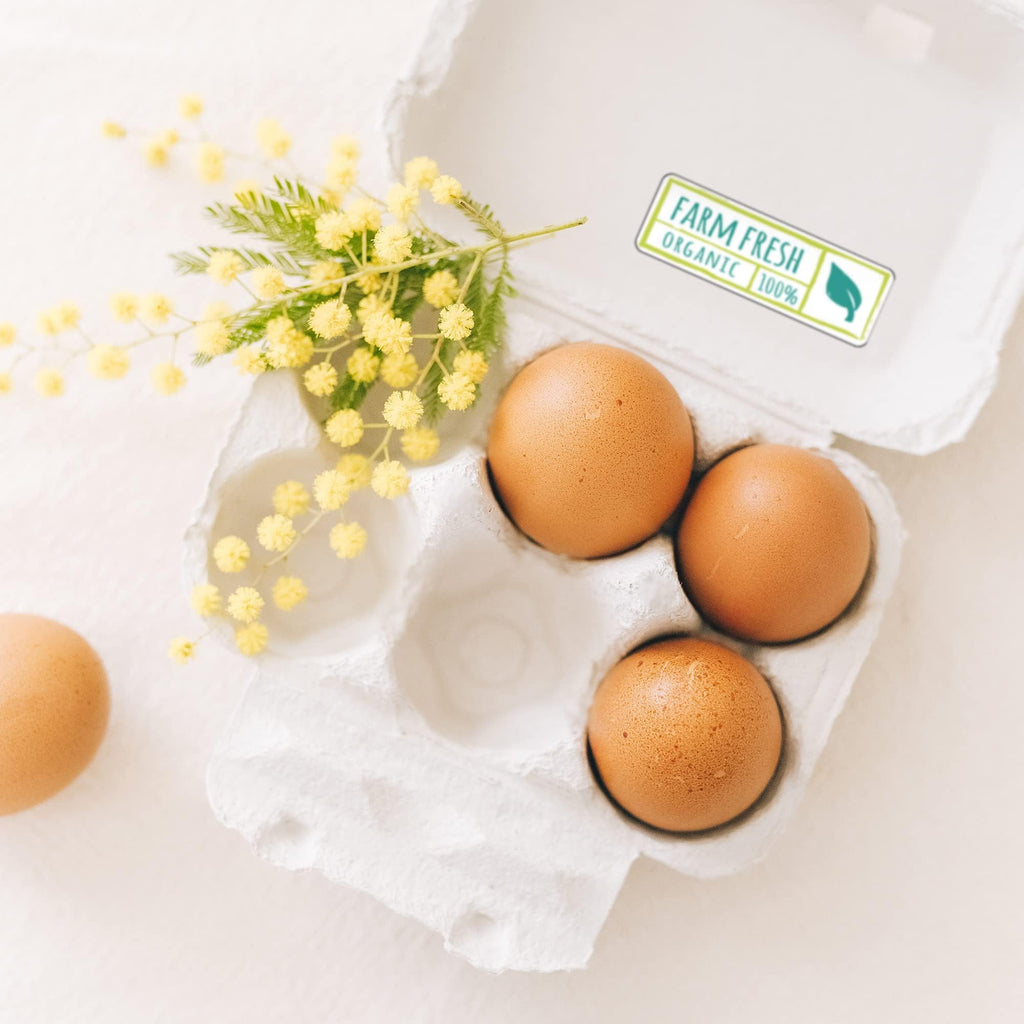 ChromaLabel 1x3 inch color-code rectangle food labels with farm fresh design, 150 stickers per pack for organizing food items.