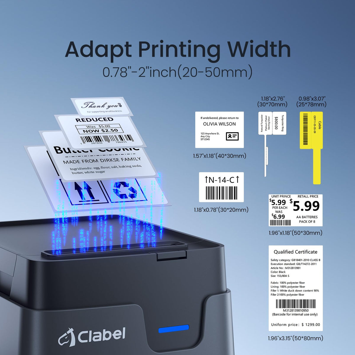 CLABEL 221D 2" Bluetooth Barcode Label Printer for Small Business Gray 2 Inch