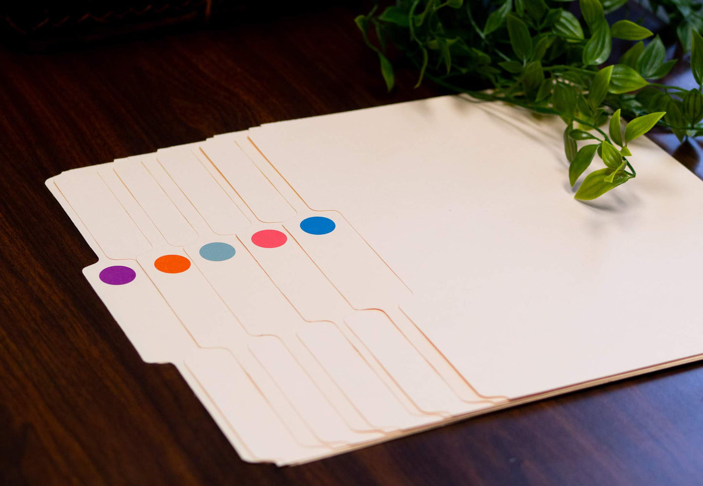 Sunburst Systems 7065 Color Coding Dots 1000 Count Label Sticker, Color Sticker dots, Blank Price Sticker, Office and Classroom Supplies, Nectarine