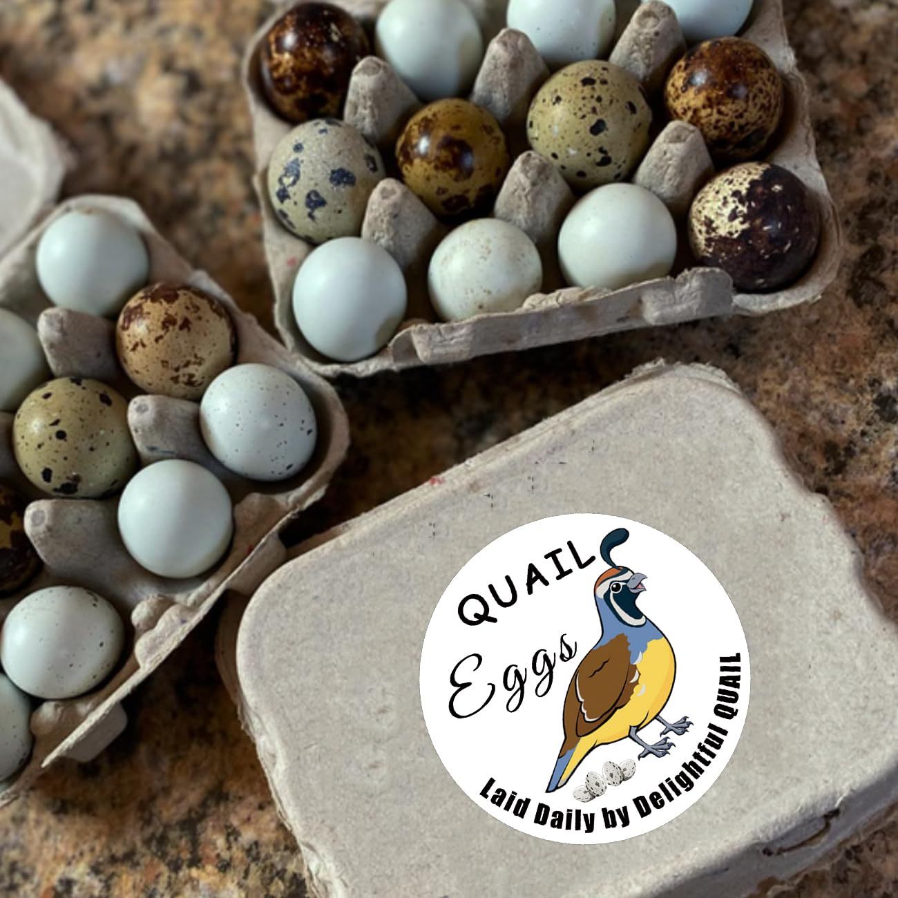 Chicken Quail Duck Eggs Carton Stickers 2 inch Farm Fresh Eggs Carton Labels Egg Packaging Handling Instructions Stickers for Farm Fresh Egg Business 160Pcs (Color2) Color2