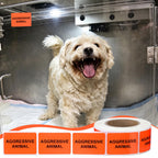 500 Pcs Aggressive Animal Veterinary Labels 1 x 1.5 Inch