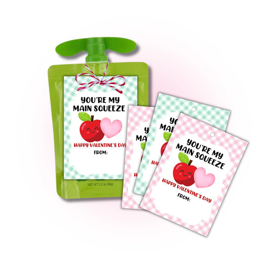You’re My Main Squeeze Valentine's Day Hang Tags with Hole for Applesauce Pouches | 40 pk Tags 2.5x3.5” Pink & Green Bulk Classroom to Attach to Applesauce for Vday Class Treat Gifts from Teacher