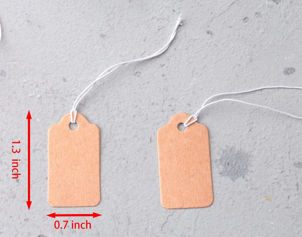 100 Pcs Display Tags with Hanging String Mini Writable (Large, Kraft) Large