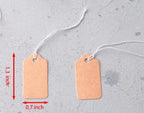 100 Pcs Display Tags with Hanging String Mini Writable (Large, Kraft) Large