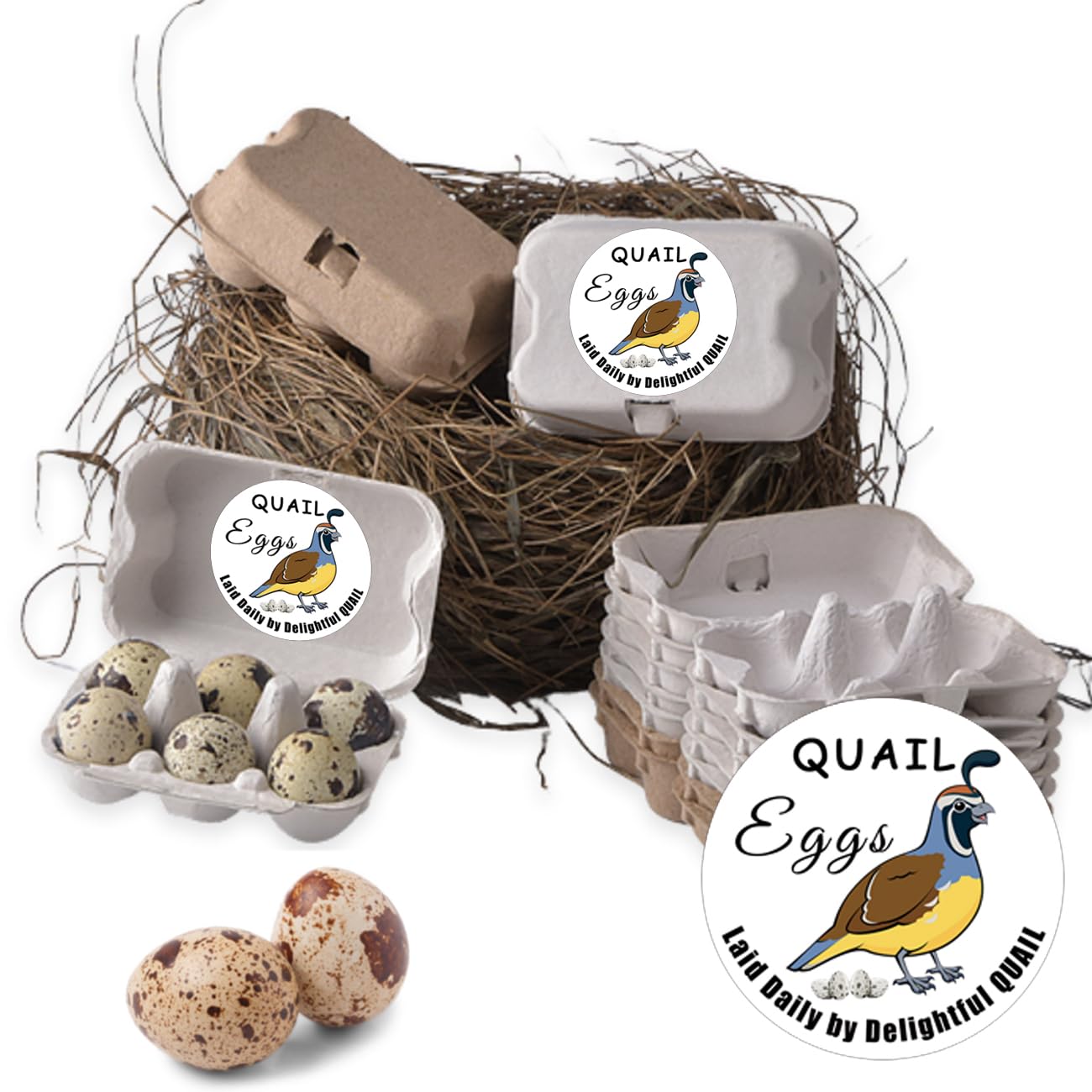 Chicken Quail Duck Eggs Carton Stickers 2 inch Farm Fresh Eggs Carton Labels Egg Packaging Handling Instructions Stickers for Farm Fresh Egg Business 160Pcs (Color2) Color2