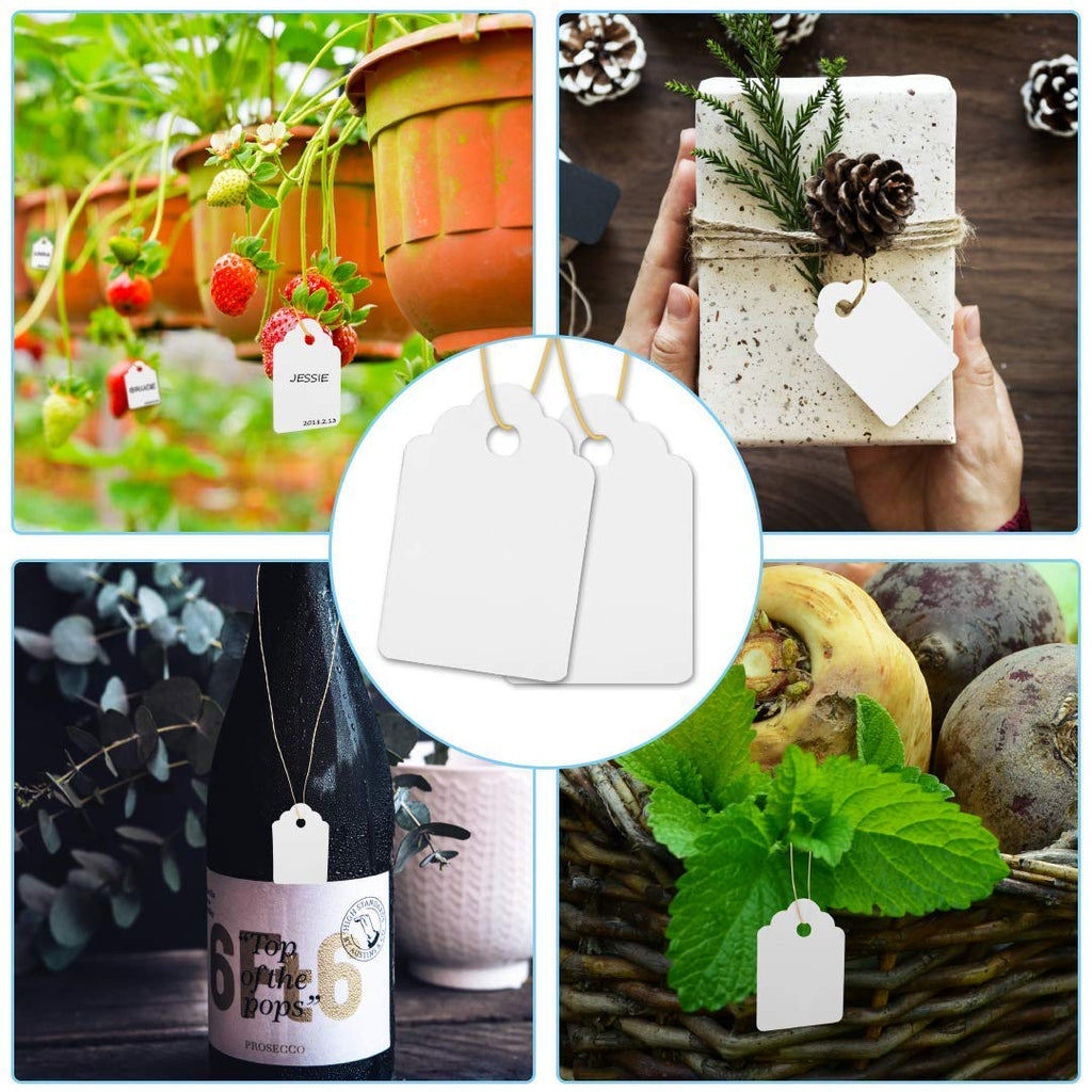 1000Pcs Waterproof Plant Tags with Strings