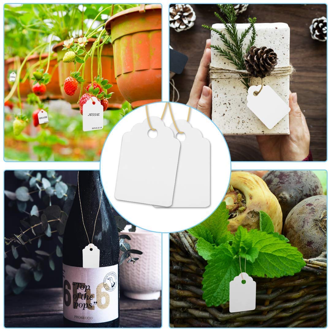 1000Pcs Waterproof Plant Tags with Strings