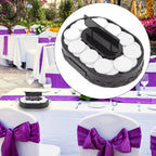Srliya Sushi Machine Automatic Rotating Table Display Stand Swing Tray Turntable for Sushi Dessert Cupcake (Sushi)