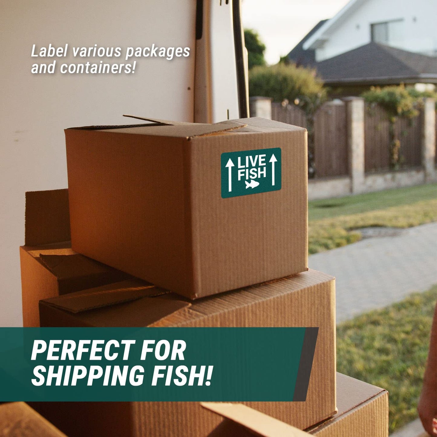 300 Live Fish Stickers - 4 x 6 inch, Live Animal Labels for Shipping & Handling/Instructions/This Side Up Arrow/Fragile Warning Labels