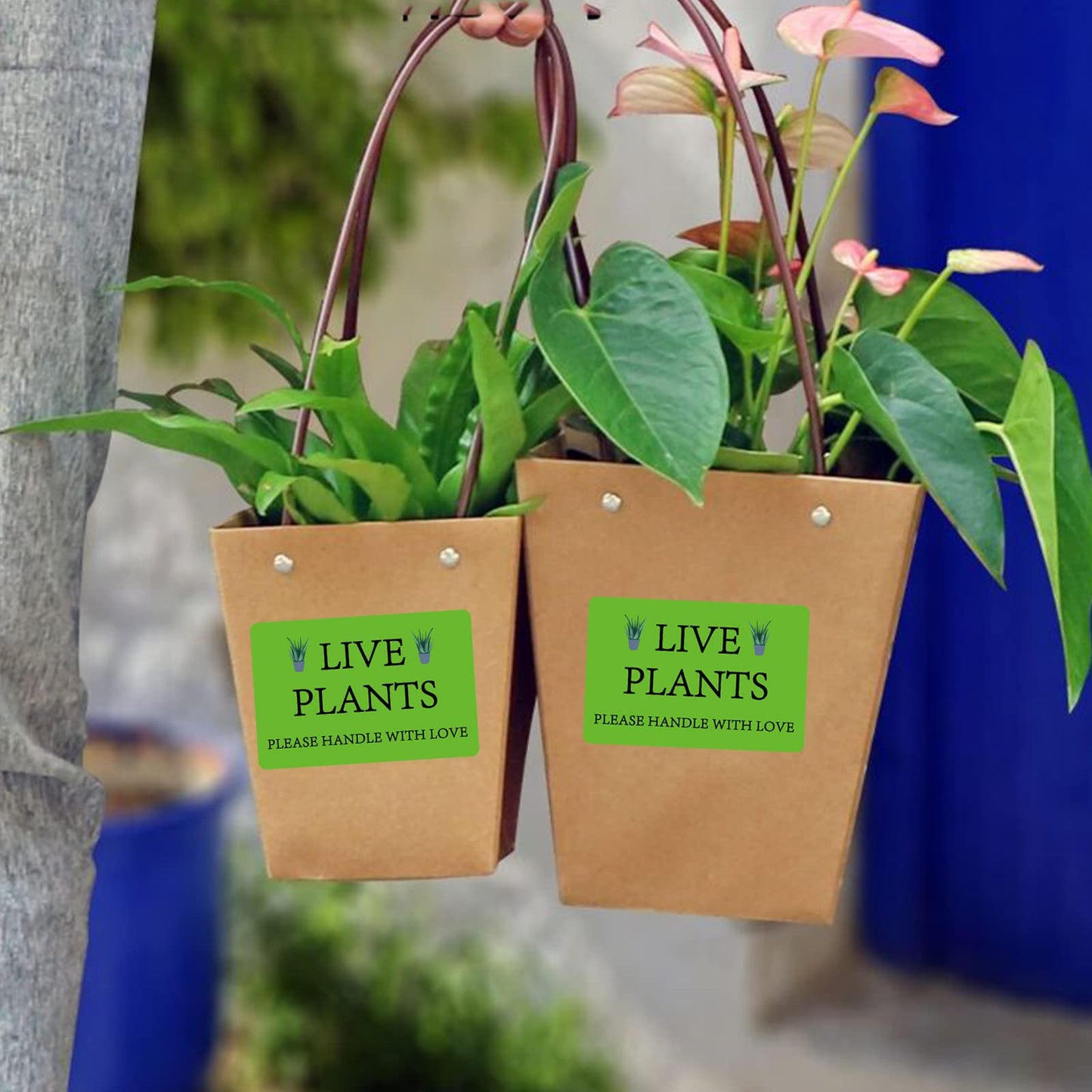 300 pcs Green Live Plants Stickers 2x3 inch Please Handle with Love Stickers Fragile Thank You Shipping Labels for Garden Centers Plants Mailing Delivery Containers Shipping Landscaping,Nurseries