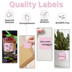 2x2 Thermal Labels, Square Thermal Label Stickers, Pink