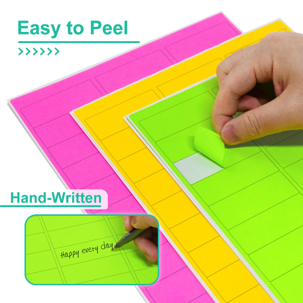 L Liked 1" x2-5/8 Assorted Fluorescent Address Labels 900 Labels 30 Sheets (Pack of 2) 1" x 2-5/8" (Pack of 2)