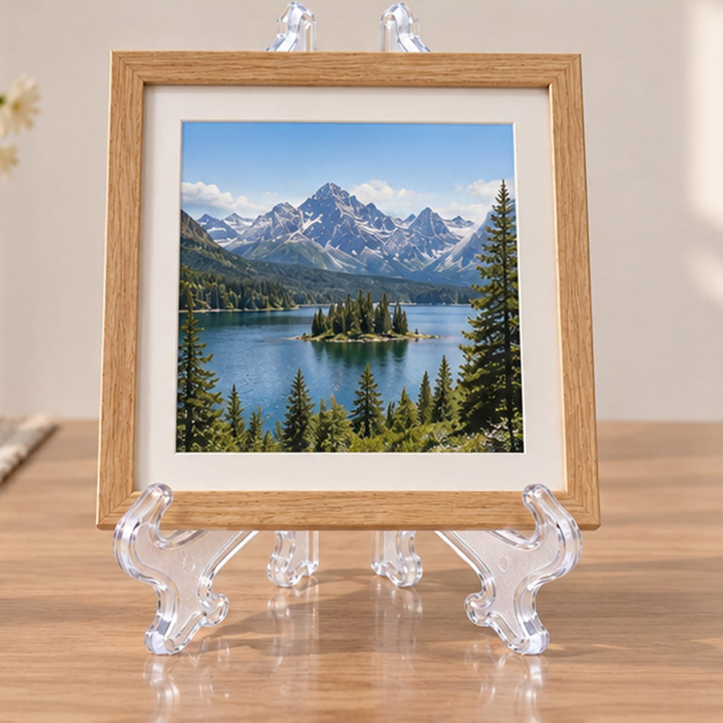 Clear Plate Stands for Display, 8 Inch (20 cm), 4 Pcs