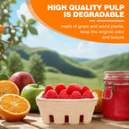 50 Pack Mini Natural Pulp Fiber Berry Basket