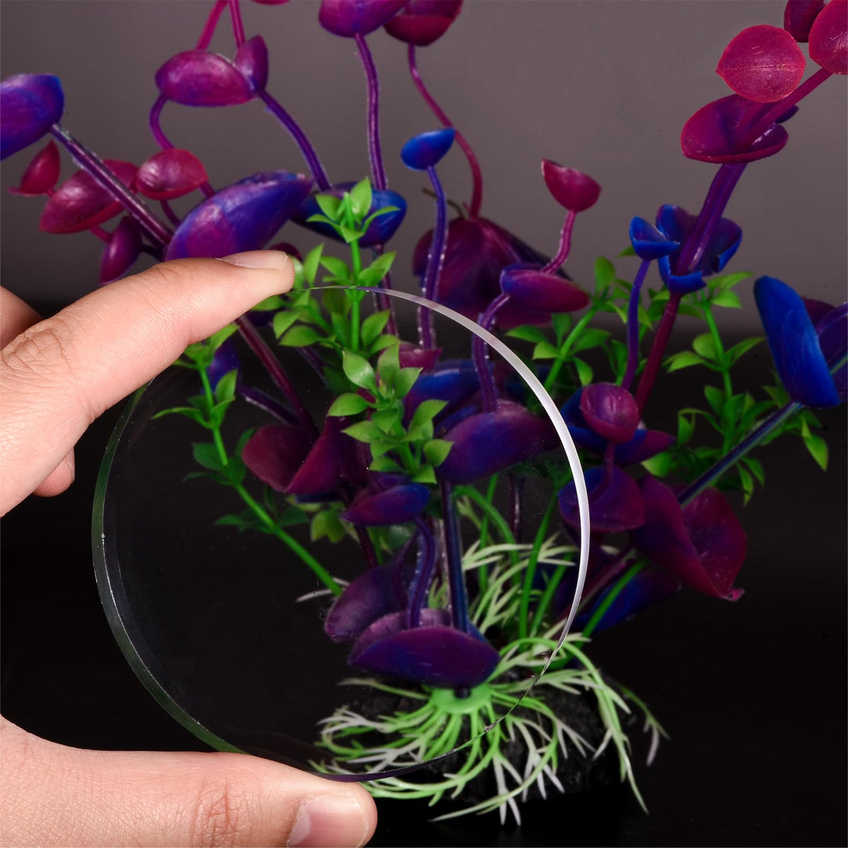 MECCANIXITY Clear Acrylic Solid Cylinder Round Display Riser for Showing