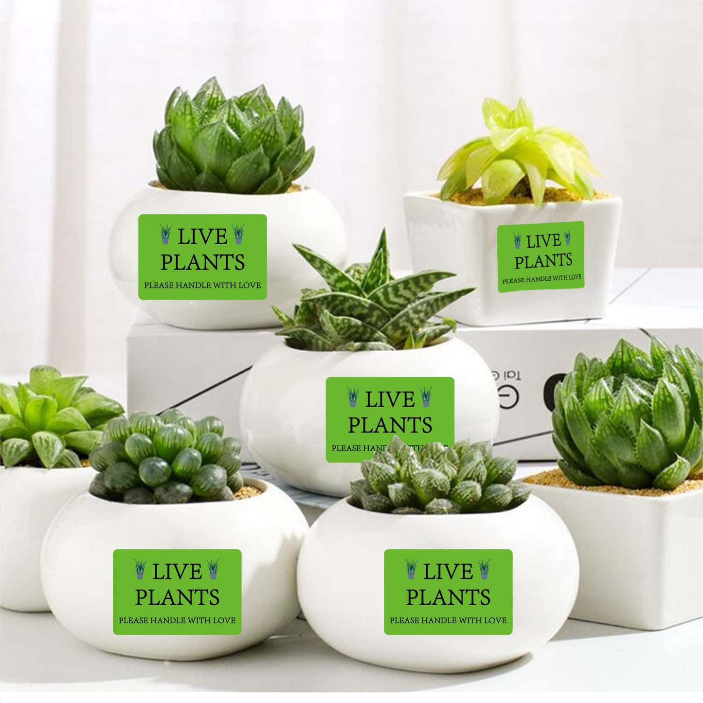 300 pcs Green Live Plants Stickers 2x3 inch Please Handle with Love Stickers Fragile Thank You Shipping Labels for Garden Centers Plants Mailing Delivery Containers Shipping Landscaping,Nurseries