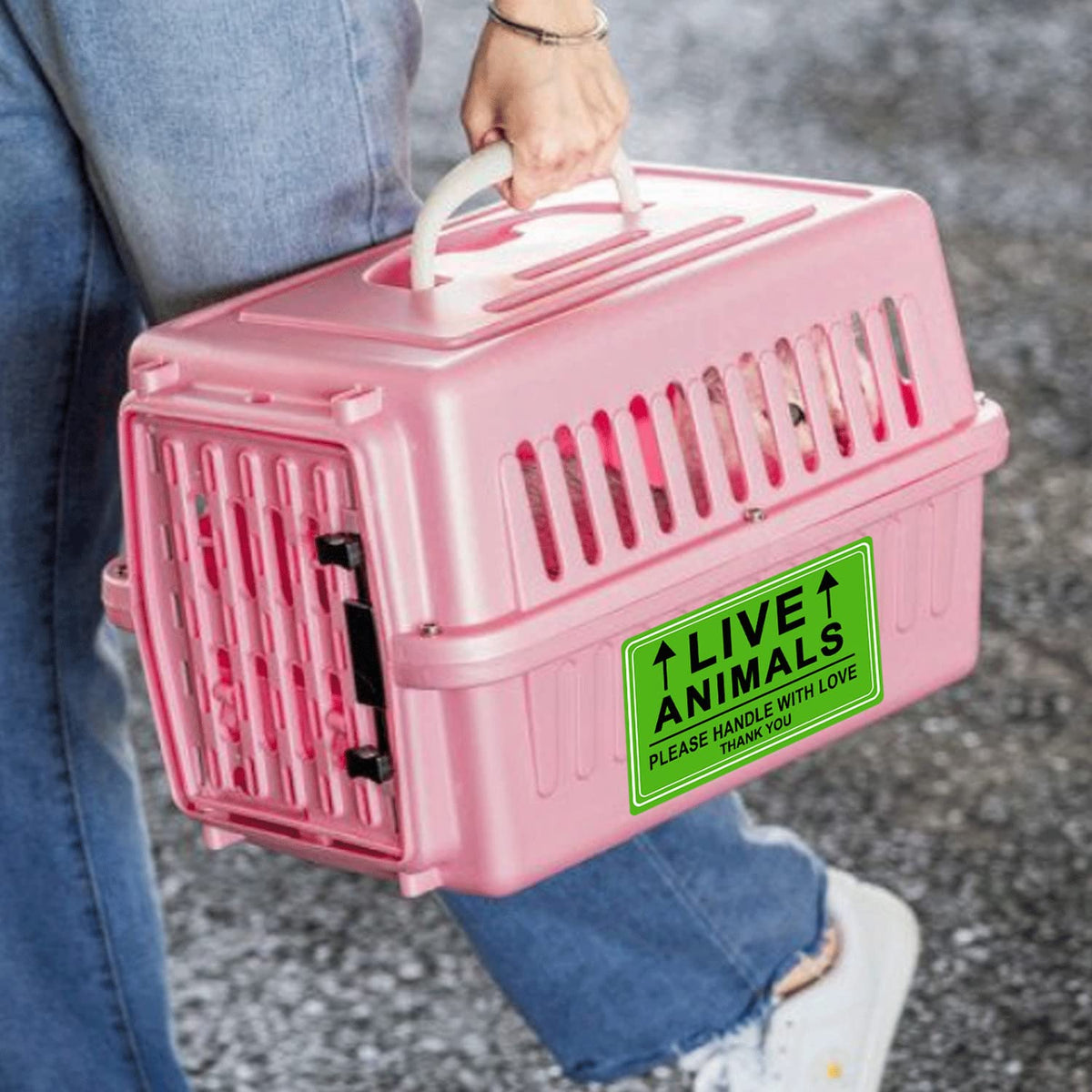 Live Animals Shipping Stickers for Pet Crate Airline Cargo Labels 250Pcs