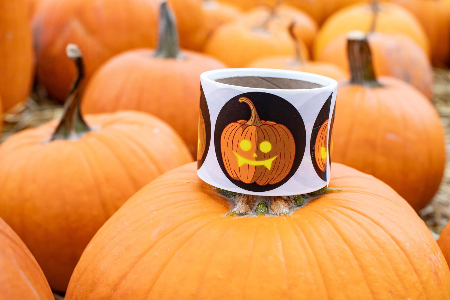 Halloween Pumpkin Stickers 2.5 Inch Round Circle Dots 4 Different Designs 100 Total Adhesive Stickers