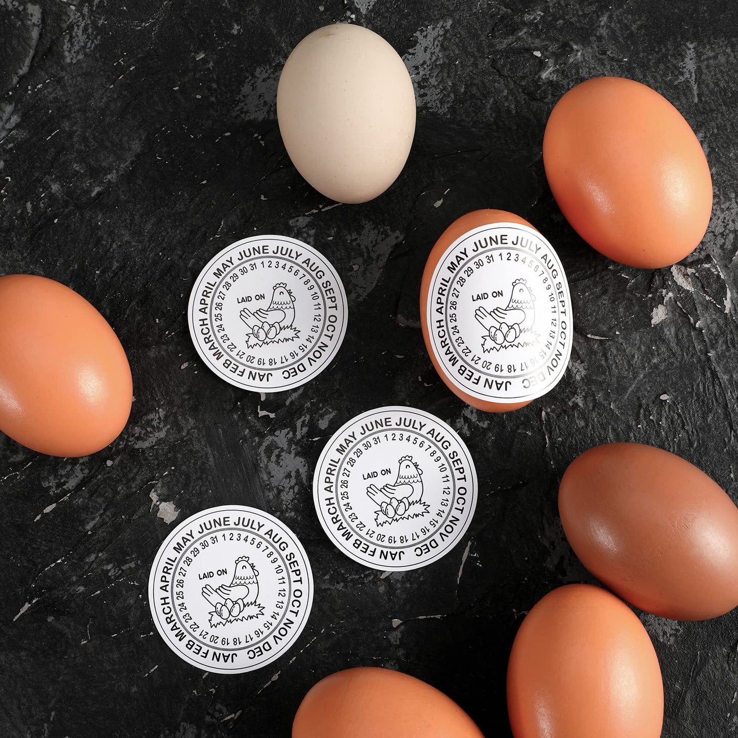 Ctosree 500 Pcs Eggs Laid on Date Stickers 2" Farm Fresh Egg Round Stickers Egg Chicken Carton Labels for Farmer's Market Packaging Farm Fresh Produce Labeling