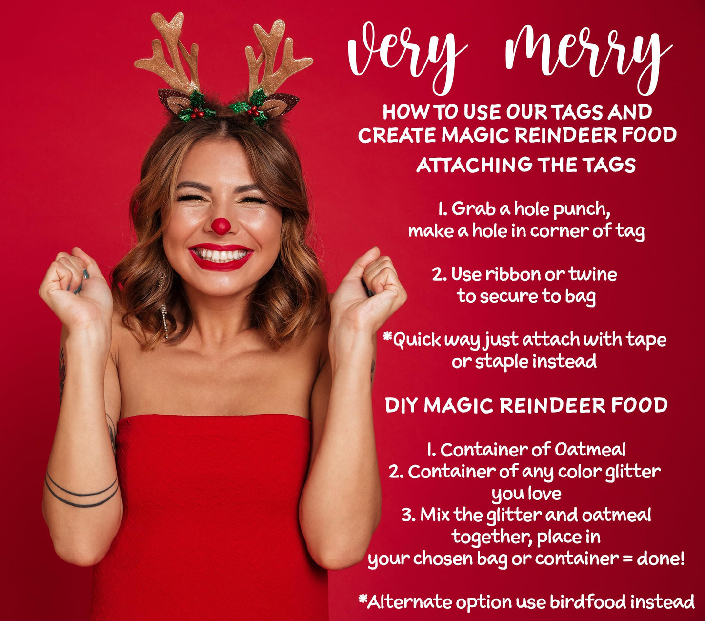 Magic Reindeer Food Gift Tags, Christmas Party Supplies Kids Gift Labels, 15 Pack