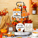 Maitys 14 Pcs Fall Tiered Tray Decoration Set Autumn Decor,Warm Style Warm Style