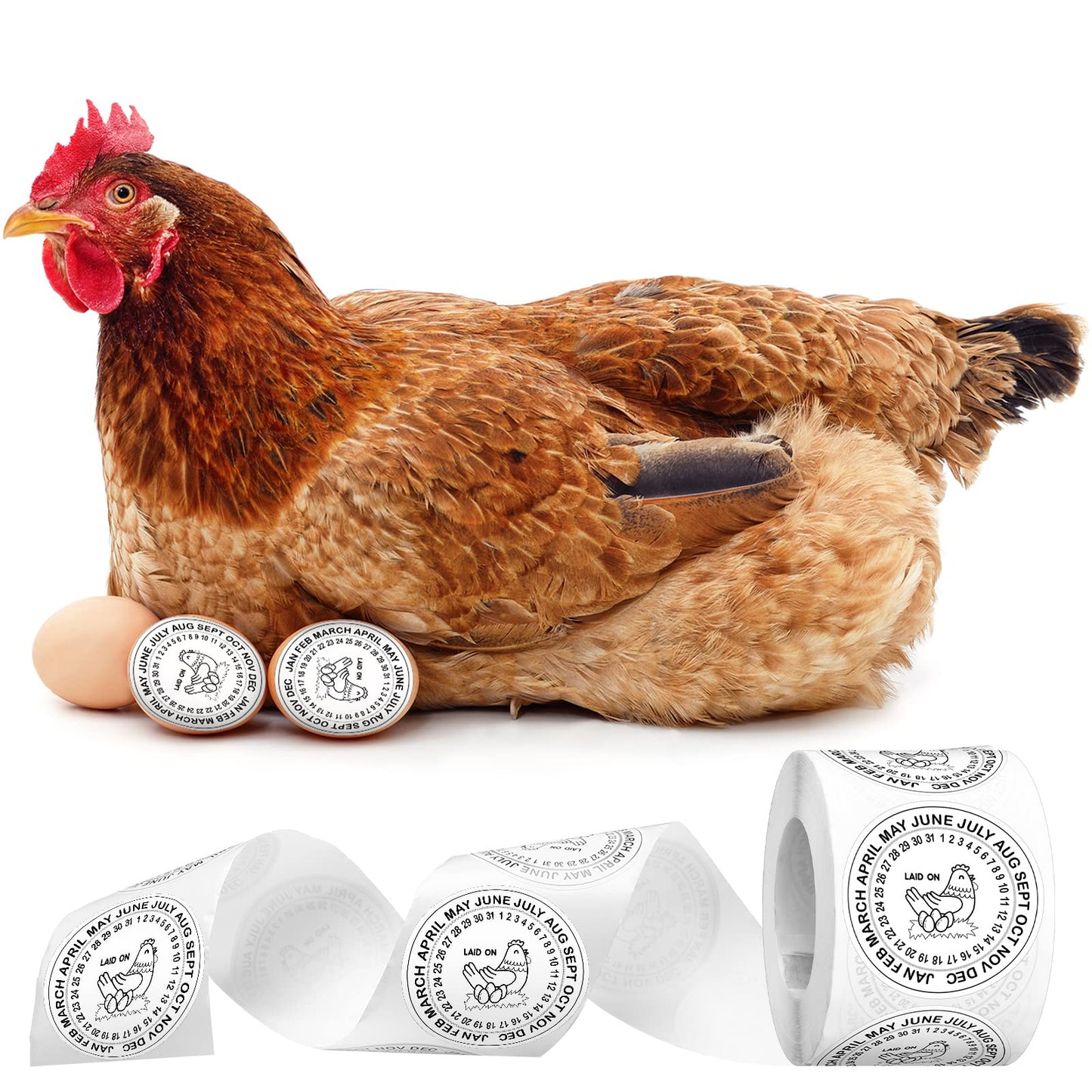 Ctosree 500 Pcs Eggs Laid on Date Stickers 2" Farm Fresh Egg Round Stickers Egg Chicken Carton Labels for Farmer's Market Packaging Farm Fresh Produce Labeling