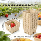 30 Pack Natural Pulp Fiber Berry Basket,Small Molded Produce Vented Basket Square