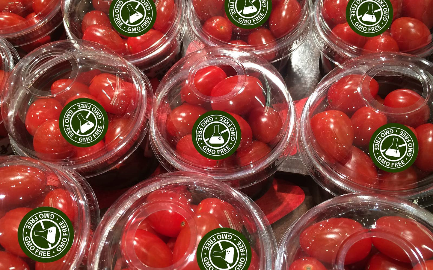 GMO Free, Non-GMO Food Rotation Labels 3 cm Circle Dots 250 Adhesive Stickers