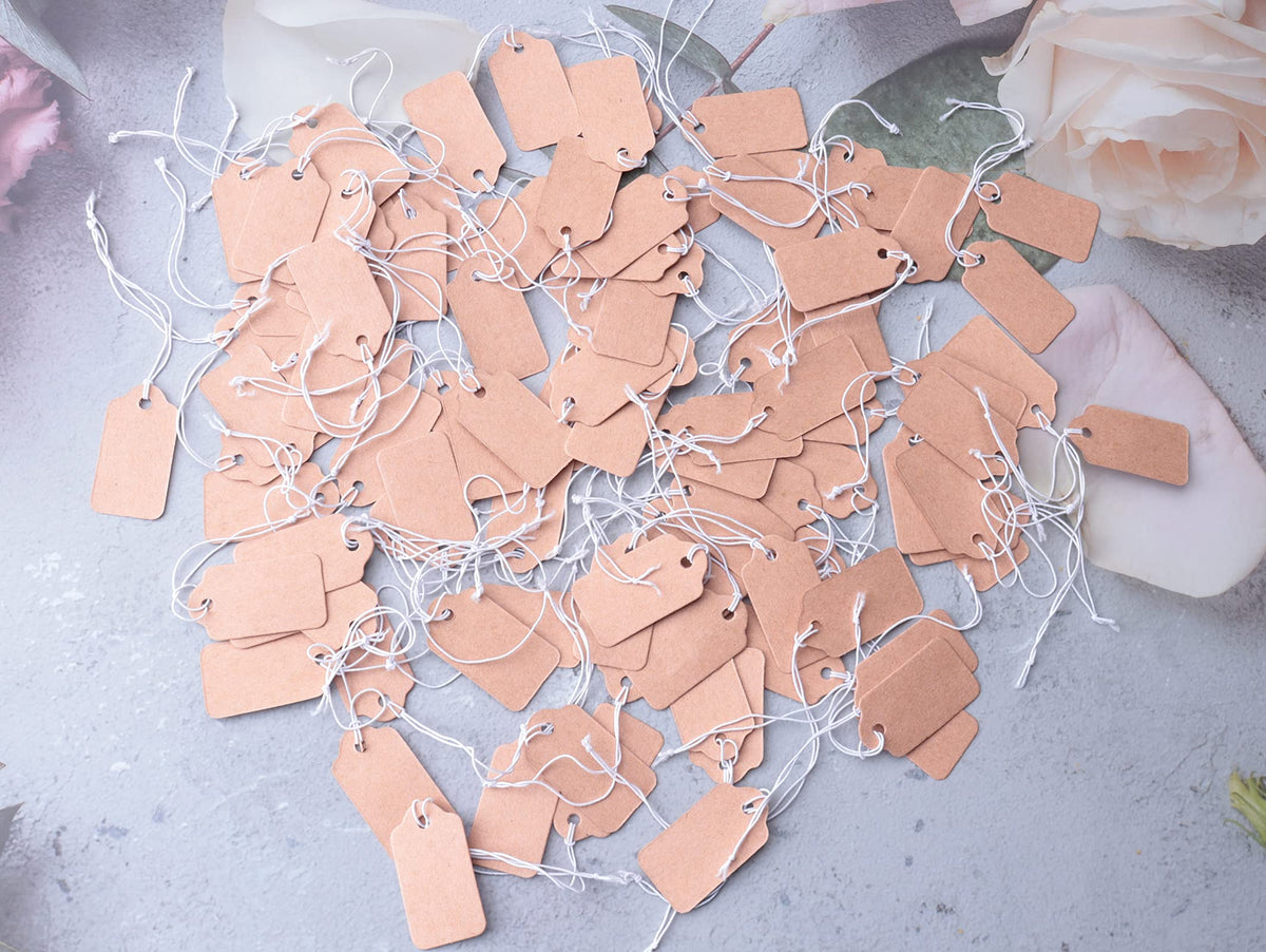 100 Pcs Display Tags with Hanging String Mini Writable (Large, Kraft) Large