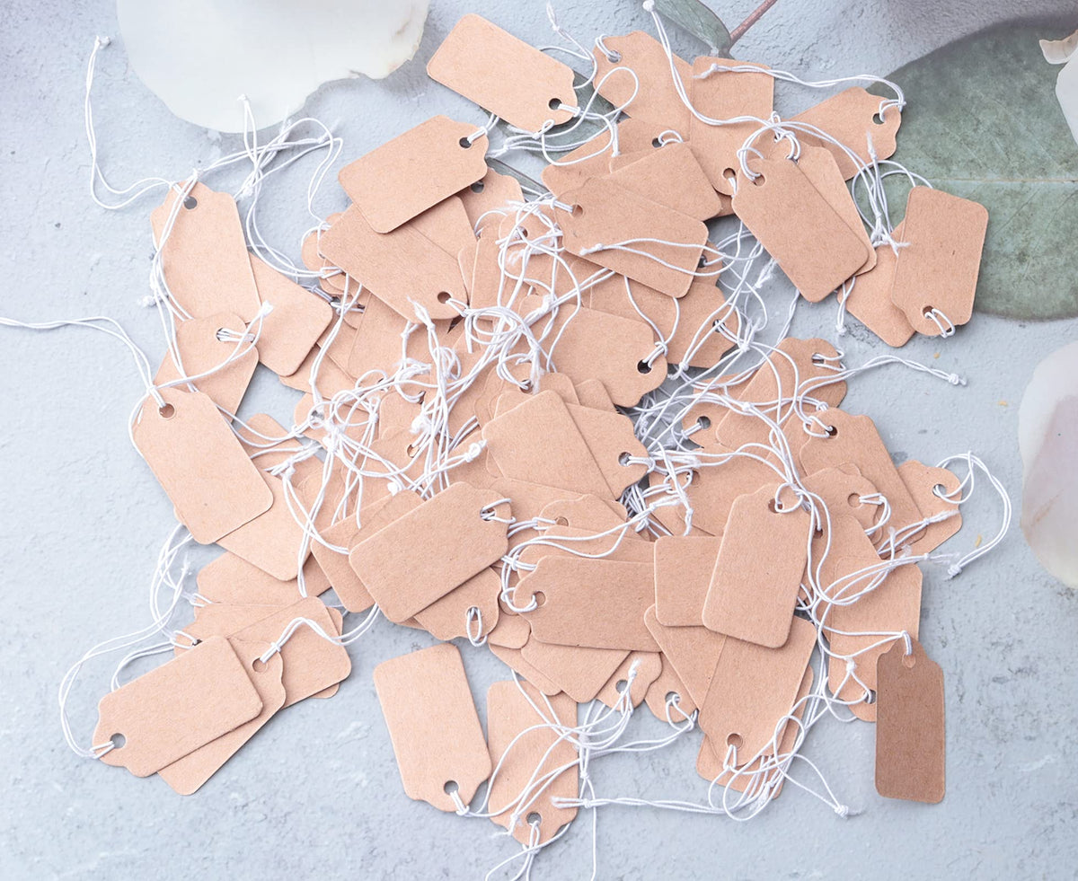 100 Pcs Display Tags with Hanging String Mini Writable (Large, Kraft) Large