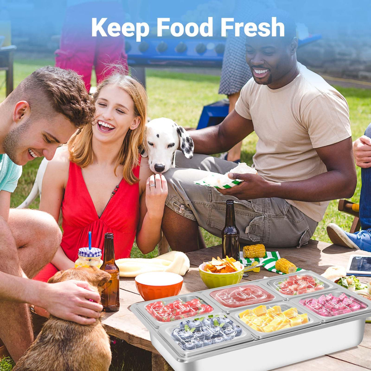 Countertop Ice Food Serving Display Tray with 6 Pan, Portable Salad Bar Buffet Station for Home, Cold Food Buffet Tray, Keep Food Cold Outdoor Buffet, Pizza Topping Station Cooling Trays for Food