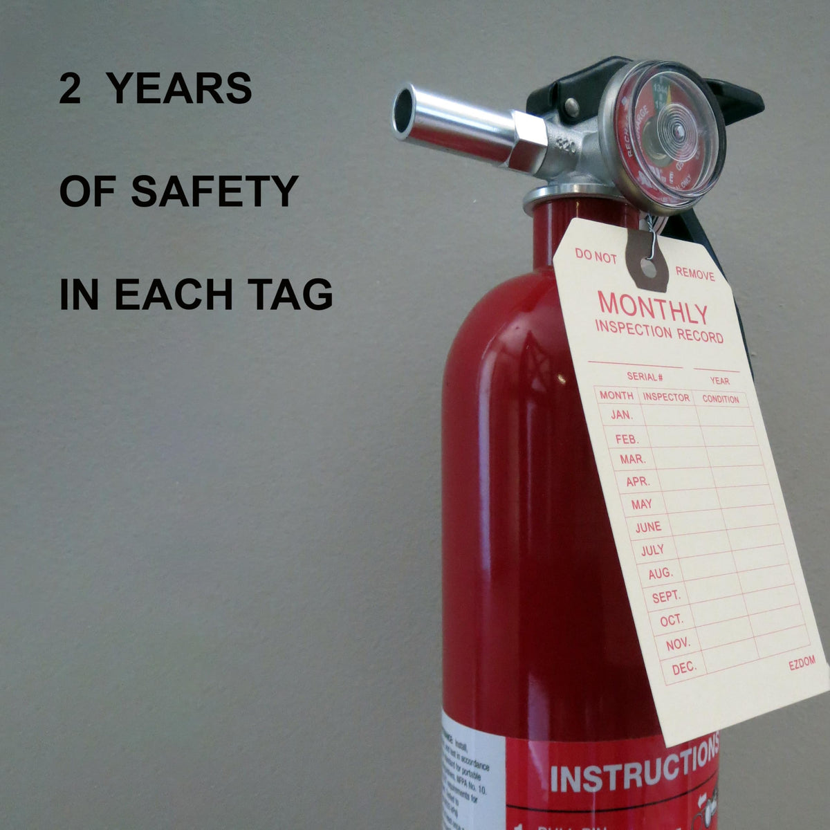 Fire Extinguisher Monthly Inspection Tags, Box of 100
