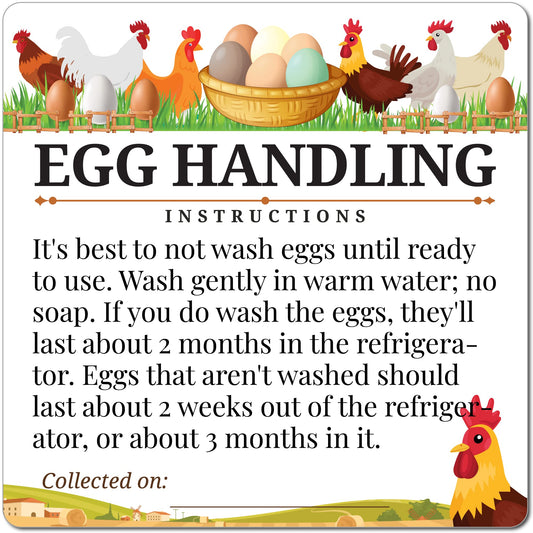 100pcs Premium Fresh Farm Eggs Handling Care Instructions Stickers Labels Accessories | 4 6 12 15 18 30 48 50 Egg Blank Cartons Basket Box Container Storing Extra Organizer (M02-3SS)