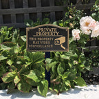 SmartSign “Private Property - This Property Has Video Surveillance” GardenBoss Statement Plaque | 5.75" x 9.5" Aluminum Plaque with 18" Black Lawn Stake, Made in USA Private Property - This Property Has Video Surveillance