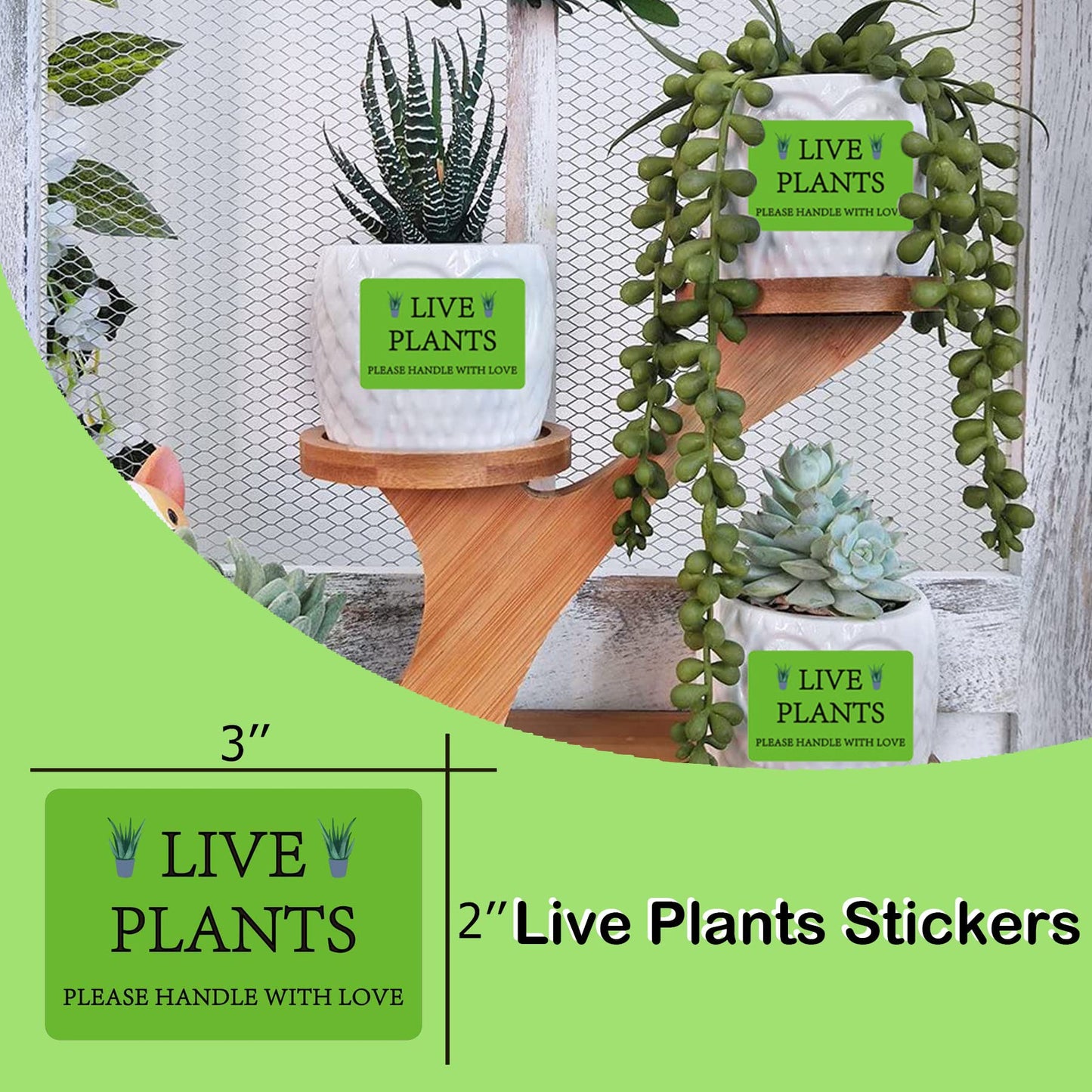 300 pcs Green Live Plants Stickers 2x3 inch Please Handle with Love Stickers Fragile Thank You Shipping Labels for Garden Centers Plants Mailing Delivery Containers Shipping Landscaping,Nurseries