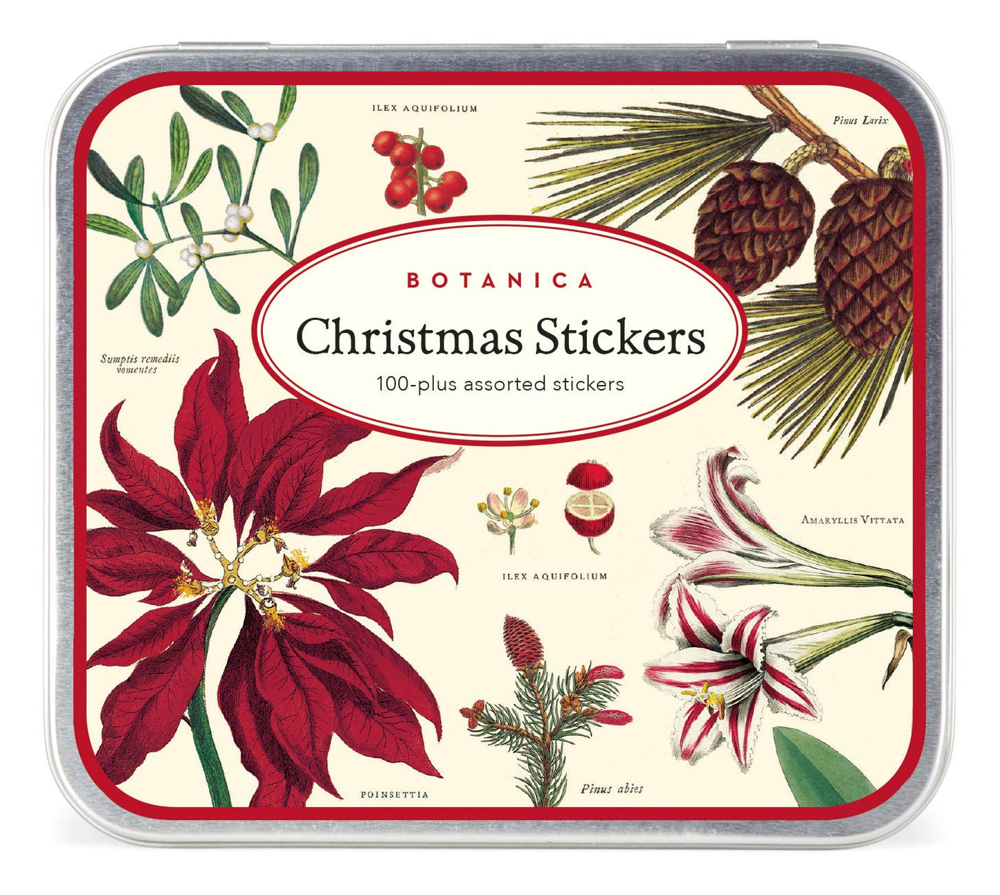 Cavallini & Co. Botanica Christmas Sticker Set, Assorted