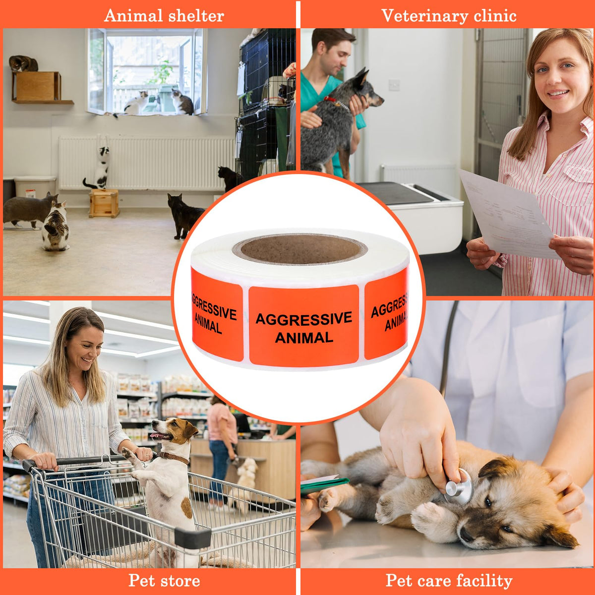500 Pcs Aggressive Animal Veterinary Labels 1 x 1.5 Inch