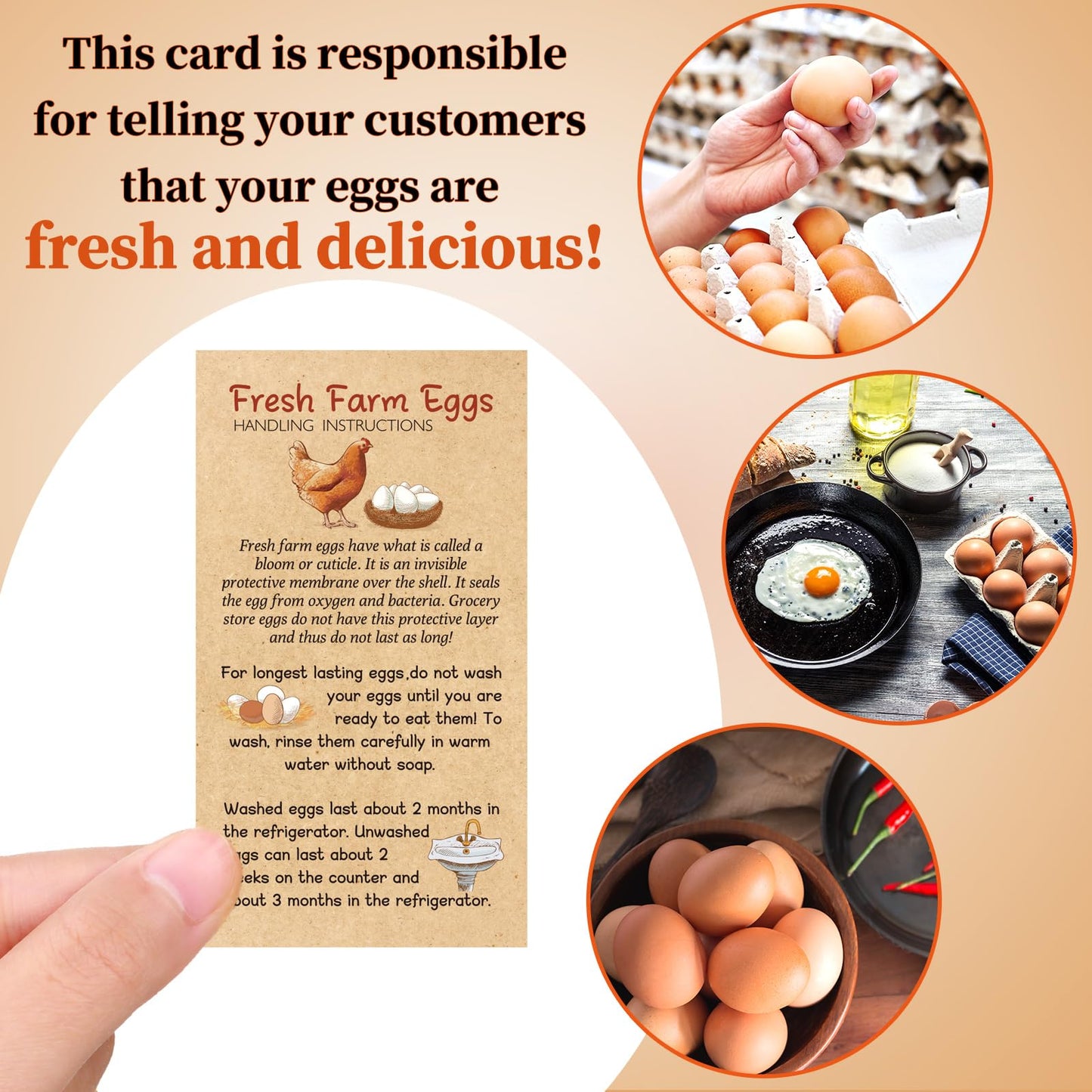Fresh Farm Egg Packaging Set Include 500 Pcs Farm Fresh Eggs Carton Labels Roll 200 Pcs Double Sided Egg Handling Instruction Cards 500 Pcs Please Return Egg Carton Labels Stickers Roll
