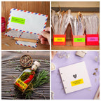 L Liked 1" x2-5/8 Assorted Fluorescent Address Labels 900 Labels 30 Sheets (Pack of 2) 1" x 2-5/8" (Pack of 2)