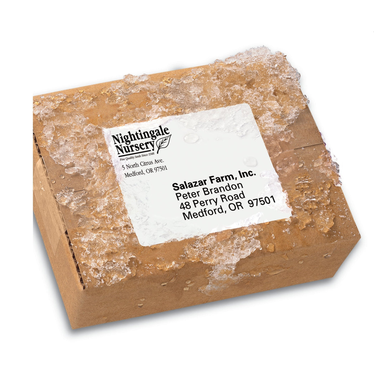 Avery Durable Waterproof Shipping Labels with Sure Feed Technology, 3-1/3" x 4", White, Laser Compatible, 300 Blank Labels Total, Great for Mailing, Branding, and More (5524) 3-1/3" x 4" (Pack of 1) 300 labels