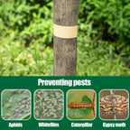 DECOHS 165 Ft x 2 Inch Tree Insect Barrier Tape, Cicada Tree Wrap Protection Tape, Adhesive Crawling Insect Tree Tape for Protecting Fruit Trees Plants Outdoor Lawn Garden