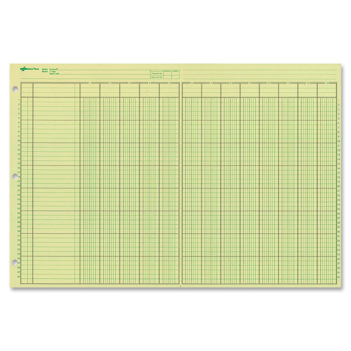 National Analysis Pad, 13 Columns, Green Eye-Ease Paper, Numbered Lines, Side-Punched, 11" x 16.375", 50 Sheets (45613)