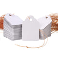 1000Pcs Waterproof Plant Tags with Strings