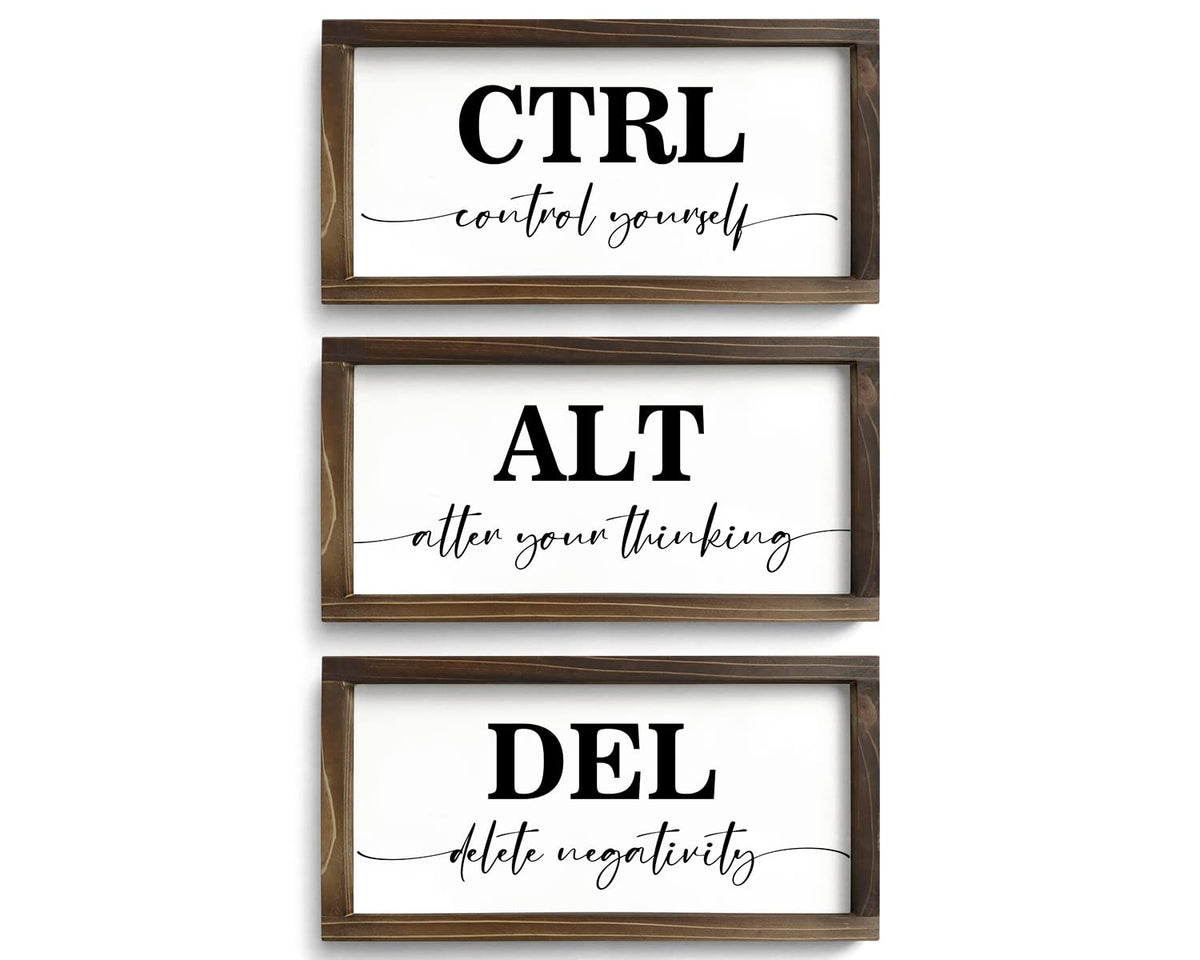 Pinetree Art Motivational Wall Decor for Office, Set of 3 Rustic Wooden Framed Signs, CTRL ALT DEL Inspirational Wall Art for Home Office, Classroom, Desk Wall, Positive Mindset Decor, (6"x12"x3) 6"x12"x3 rusitc