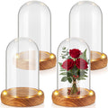 4 Pack 4.72'' x 2.76'' Christmas Glass Cloche Domes with Light Wood Base 4.72'' x 2.76''
