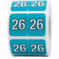 Barkley Compatible Filing Medical Healthcare Labels – Turquoise 1 x 1.5 Inch Adhesive Stickers, Year 2026, 500 Total Labels Per Roll for Medical Records, Charts, and Office Filing – Made in the USA