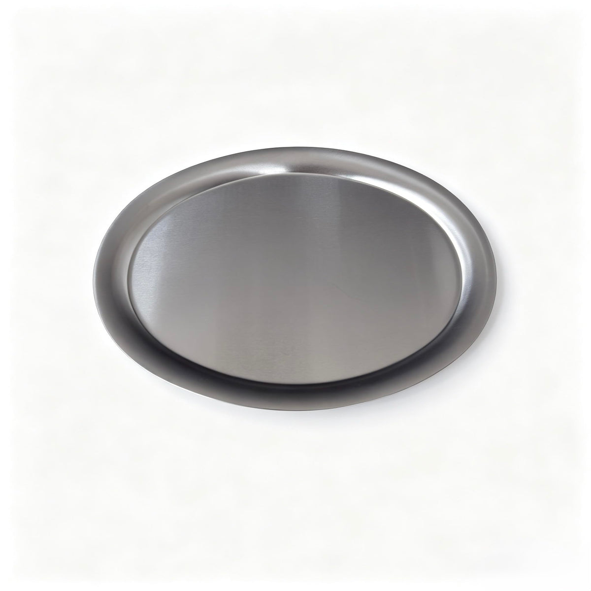 Stainless Steel Serving Platters,Camping Tray,Dinner Plate,12.2"L× 10"W
